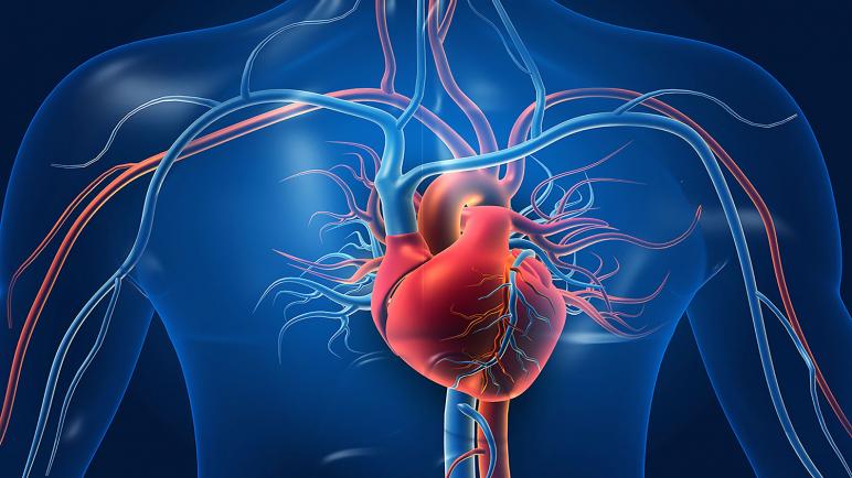 ما هو مرض القلب؟