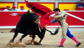 مصارعة الثيران.