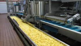 مصانع الشبس