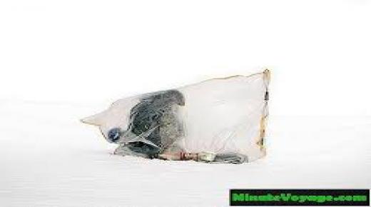 ملجأ الصيادين المؤقتين في كازاخستان الجليدية