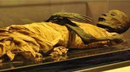 هل كان أحد أجدادك مومياء؟