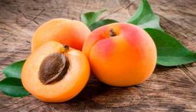 فواكة ذات النواة