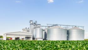 الزراعة الناجحة