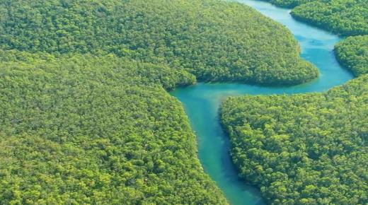 نهر الأمازون 