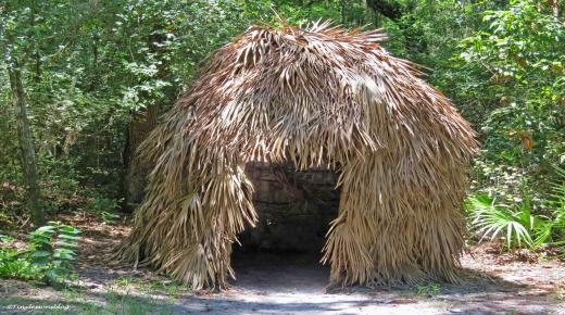 الرجل الأخير من قبيلته