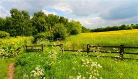 هل تخاف من حساسية الربيع؟ إليك  طرقاً لحماية نفسك في هذا الموسم.