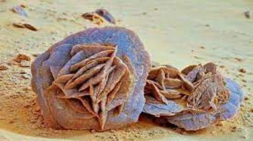 ورود الصحراء: ظاهرة طبيعية لا تصدق تسحر